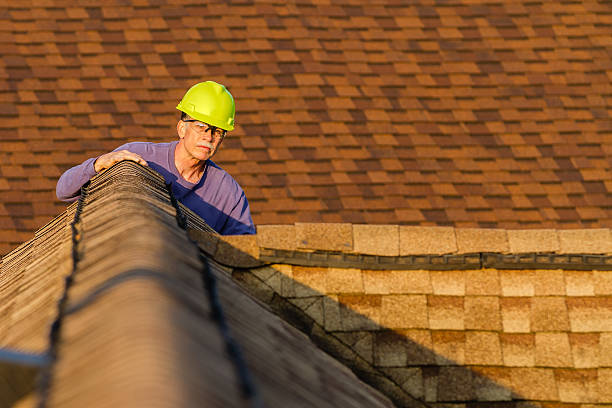 Best Roof Gutter Cleaning  in Tuckerman, AR